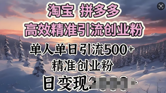 淘宝拼多多高效精准引流创业粉，单人单日引流500+创业粉，日变现多张-读读学社