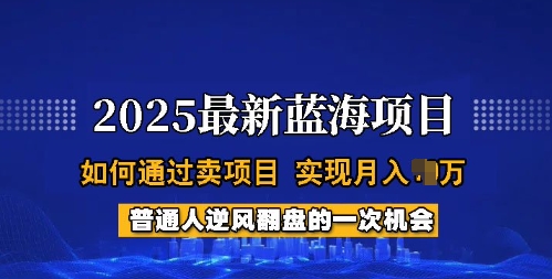 2025蓝海项目，普通人如何通过卖项目，实现月入过W，全过程【揭秘】-读读学社